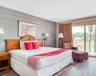 OYO Hotel Mustang Silver Spring Fl - Silver Springs - Спальня