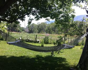 Unique country house with views of the mountains - Paonia - Patio