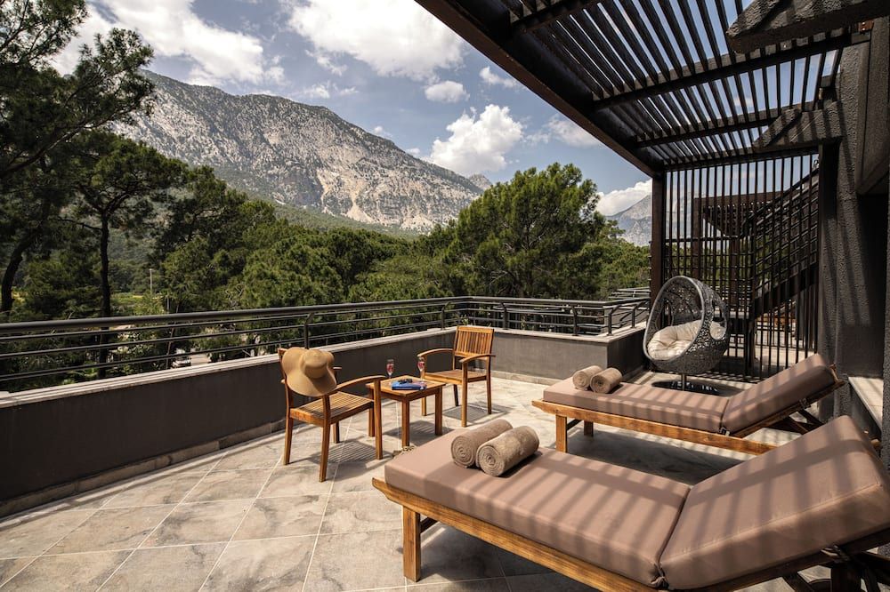 بالمي فوريستا