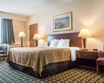 Quality Inn & Suites Palm Island Indoor Waterpark - Batavia - Makuuhuone