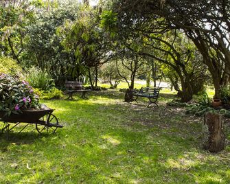 호텔 아시엔다 린콘 데 라 몬타냐 - 네모콘 - 파티오