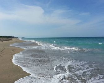 Cozy Port St Lucie getaway. Lanai Plus Private Heated Pool & Private Gardens - Port St. Lucie - Strand