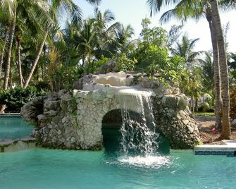 Atlantis Paradise Island - נאסאו - בריכה
