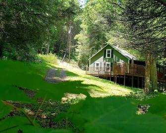 Off the Beaten Path - just like the name implies, by Buffalo Mountain Getaway - Willis - Vista del exterior