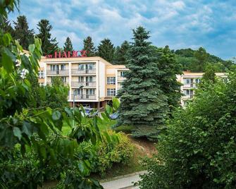 DW Halicz - Солина