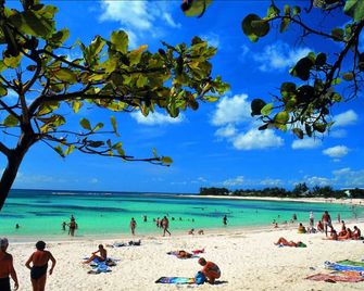 Résidence Le Vallon Guadeloupe Parc Piscine Appartements & Studios - Saint-François - Strand