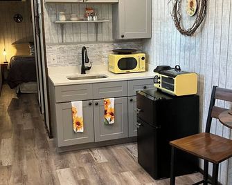 Secluded Ranch Cabin at Possum Well Ranch - Goldthwaite - Kitchen