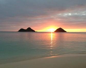 Tropical Studio w/ pool, spa, a/c, WFH, walk to Kailua Beach (30 day Discount!) - Kailua - Playa