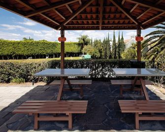 Hotel Intercity Zapopan - Zapopan - Patio