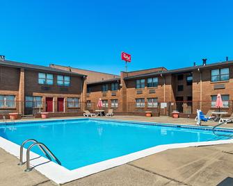 Red Roof Inn Lexington - Hamburg - Lexington - Pool