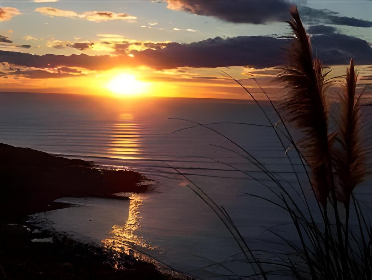 Our Beach House - Upper Wainui - Raglan - Edificio