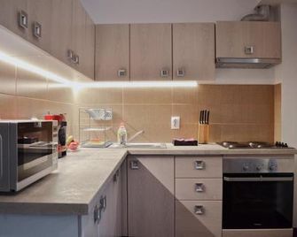 Vila Andrei - Baile Olăneşti - Keuken