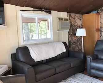 Wheeler Lake House:Cottage with Stunning Views Lakefront Bliss, Swimming, Kayaks, and Starry Nights - Kalkaska - Living room