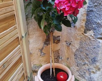 Les insolites de Champeix 63 - Saint-Floret