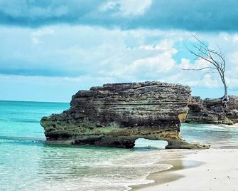 Serene Oceanfront Escape - Bailey Town - Playa