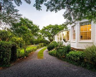 Mimosa - Grahamstown