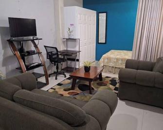 Private Studio. AC/Internet/Cable near UWI/Airport. Quiet suburban neighborhood. - El Dorado - Salon