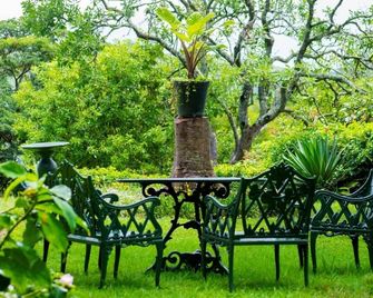 Inn On The Vumba - Mutare - Patio