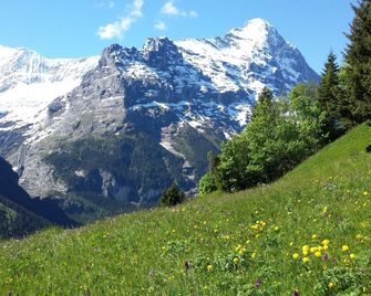 Hotel Tschuggen - Grindelwald - Vista esterna