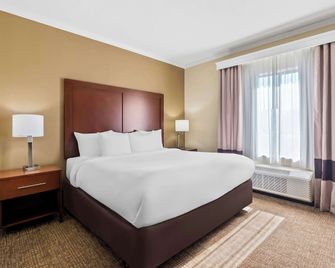 Comfort Suites Panama City Near Tyndall Afb - Panama City - Habitació