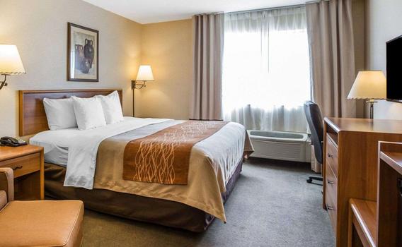 Quality Inn Lone Pine 90 1 7 1 Lone Pine Hotel Deals