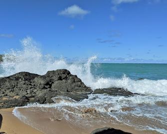 Tropical Rainforest Retreat - Naguabo - Playa