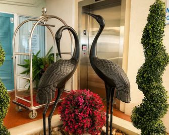 Crystal Beach Motor Inn - Wildwood Crest