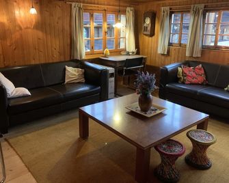 authentic luxury chalet with garden - Ormont-Dessus - Salon