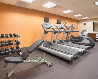 Comfort Suites Moab near Arches National Park - Moab - Gym