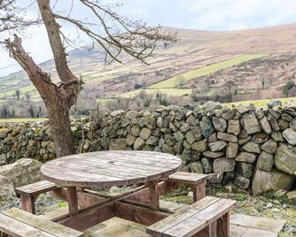 Mary Larkin's Cottage - Kilkeel - Patio