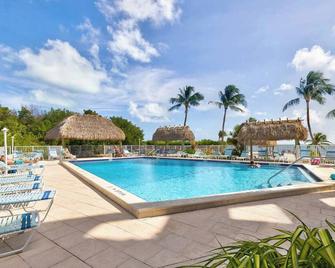 New Tropical Escape Sea Gulls 407 - Tavernier - Piscina