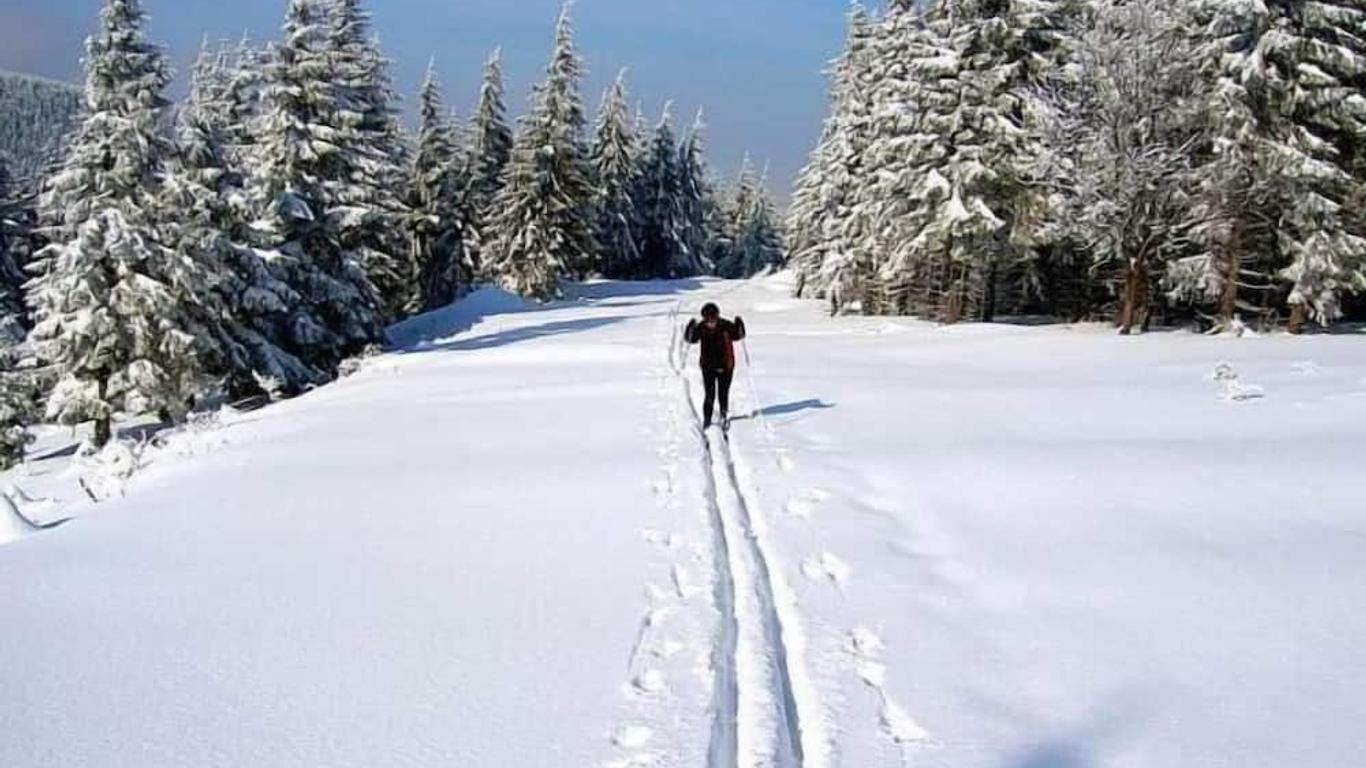 Zum Schneekopf