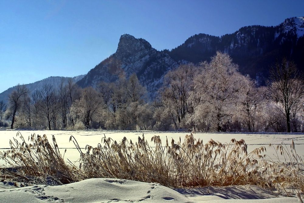 Landhotel zum Metzgerwirt - Bad Bayersoien - Outdoors view