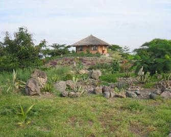 Kia Lodge - Boma la Ngombe - Patio
