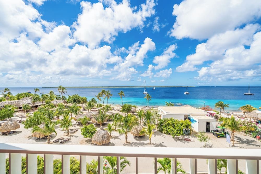 Chogogo Dive & Beach Resort Bonaire - קרלנדיק