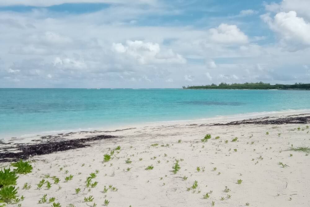 Beach Front, Calypso @ Flamingo Bay Rokers Point/Harts - Rokers Point Settlement - Playa