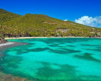 Firefly Estate Bequia - Port Elizabeth - Spiaggia