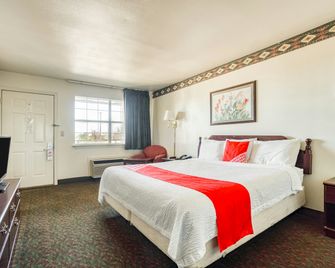 OYO Hotel Wichita Falls I-44 Sheppard Airforce - Wichita Falls - Bedroom