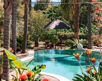 Cannes Villa St Barth - Cannes - Pool