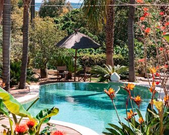 فيلا كان ساينت بيرث - كان - حوض السباحة