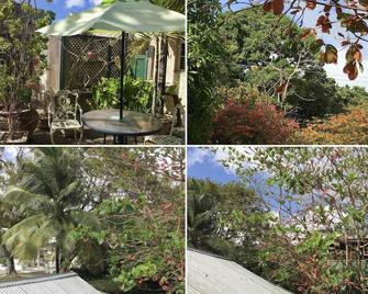 Sweet Lime Cottage suitable for couples and soloist alike. - Bridgetown - Outdoor view