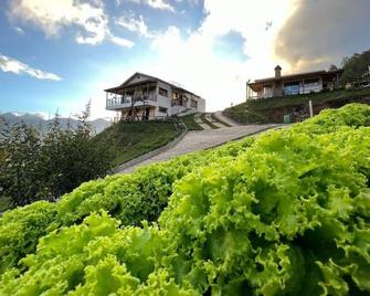 La Casita de Charo 1 - Constanza - Edificio