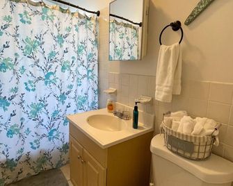 Sun-filled 1b 1ba W City Views Near Public Trans - Boston - Baño