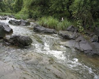 Junglee Bagicha Agro Tourism - Yavatmāl