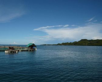 Anda/Cabagnow Seaside Resort - Anda