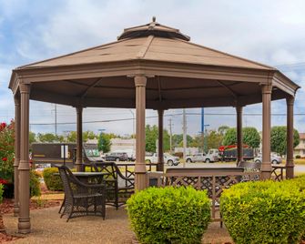 鮑靈格林紅屋頂酒店 - 博凌格林 - 博林格林 - 天井