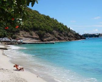 Authentic Summer Villa in Corossol Hillside - Gustavia - Beach