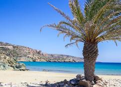 Authentic Cretan Stone Windmill - Sitia - Beach