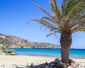 Authentic Cretan Stone Windmill - Sitia - Playa