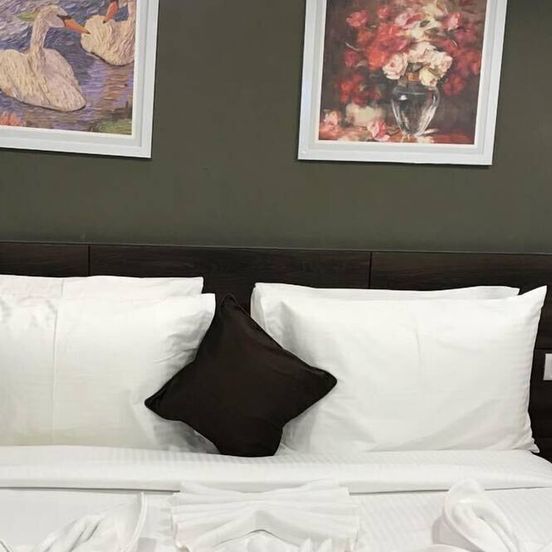 Hotel Royal Inn - Electronic City